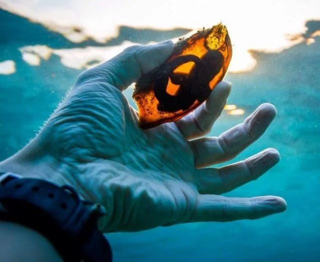 Фото, на которые стоит взглянуть